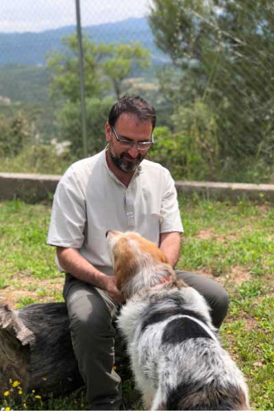 Flores-de-Bach-para-animales