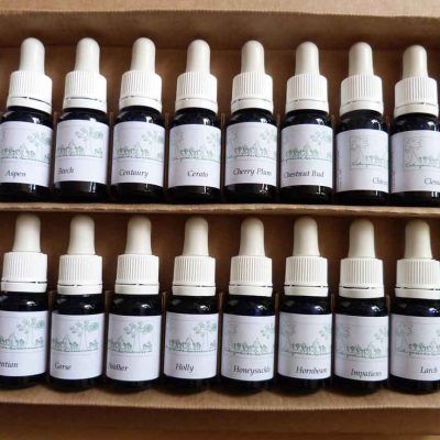 Kit de las 38 Flores caja de cartón