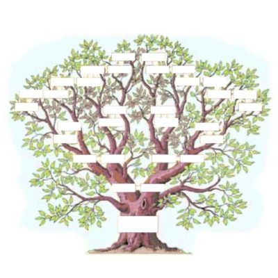 Psicogenealogía-flores-de-bach