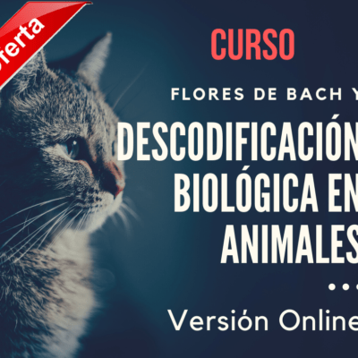 cursos-de-flores-de-bach-para-animales