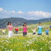 cursos-de-flores-de-bach-online