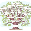cursos-de-flores-de-bach-online