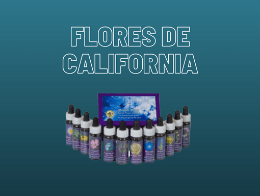 curso-flores-de-california