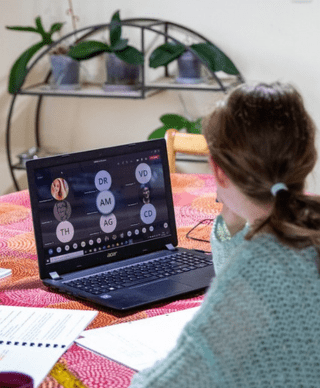 cursos-de-flores-de-bach-online