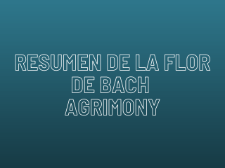 cursos-de-flores-de-bach-online