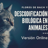 flores-de-bach-para-animales