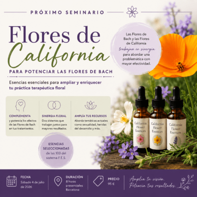 flores-de-california