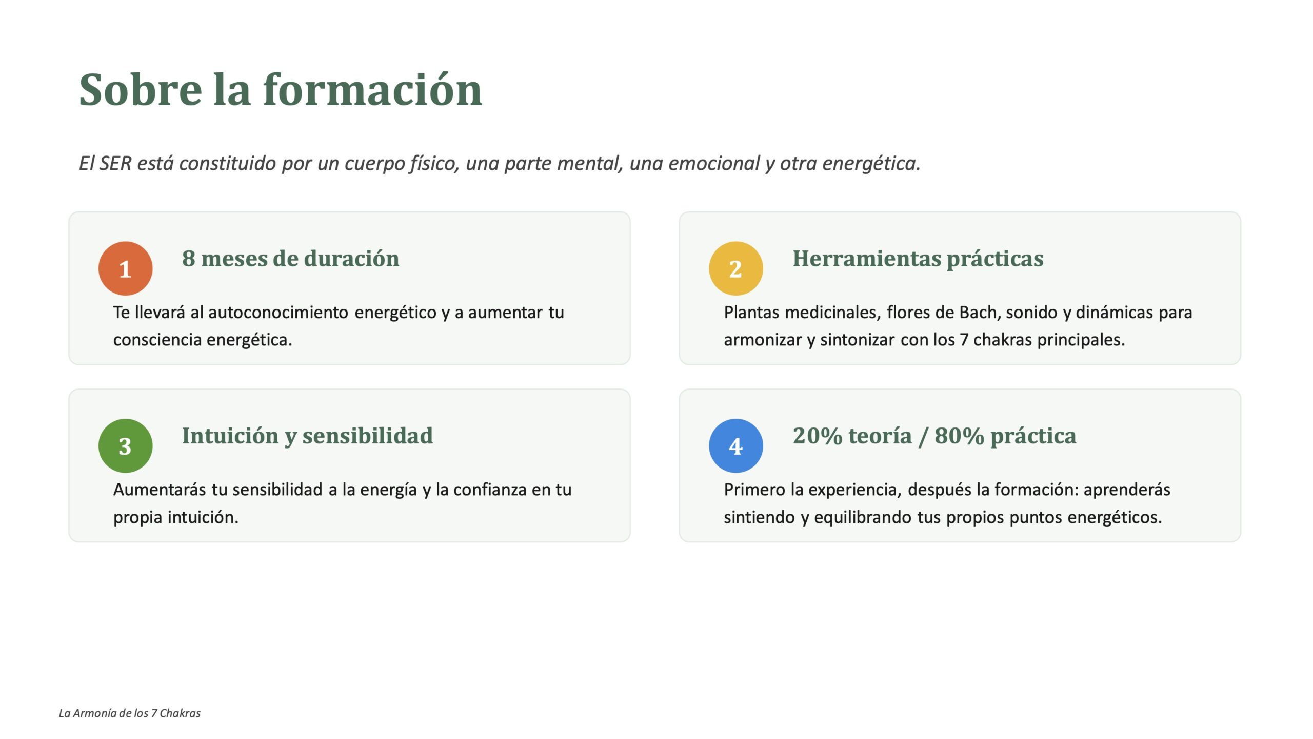 Chakras_flores-de-bach